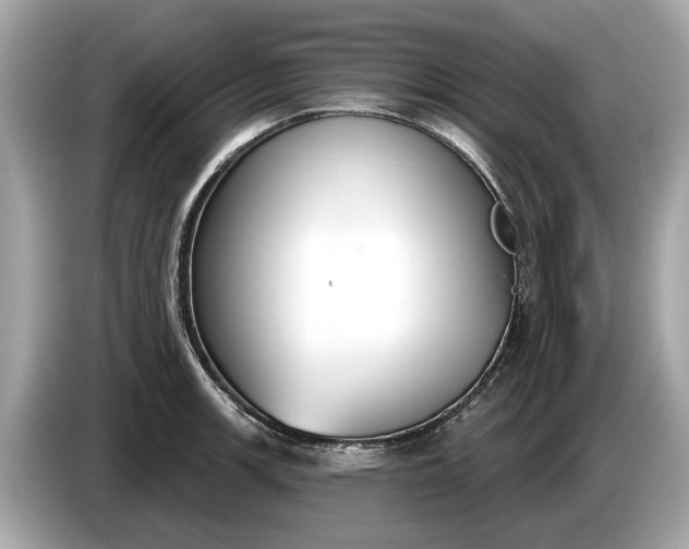 X0000085081139200703191318