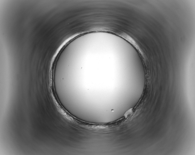 X0000085081140200703191318