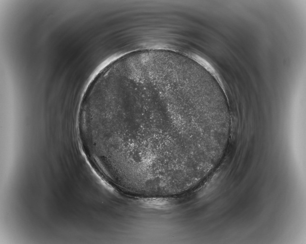 X0000085081141200703191318