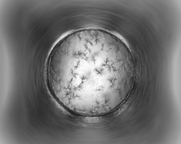 X0000085081142200703191318