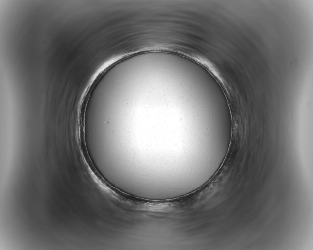 X0000085081143200703191318