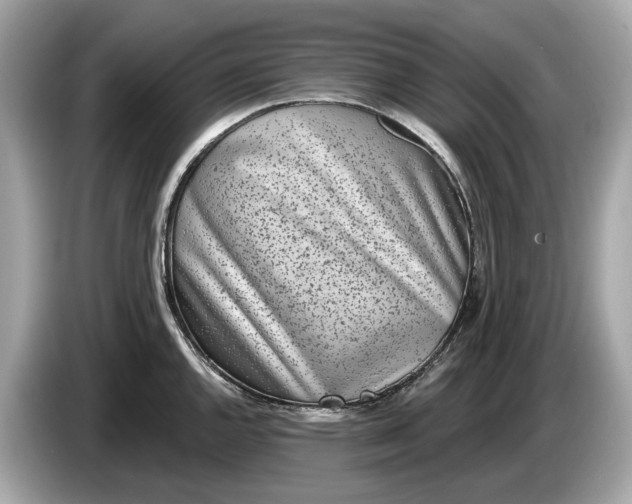 X0000085081144200703191318