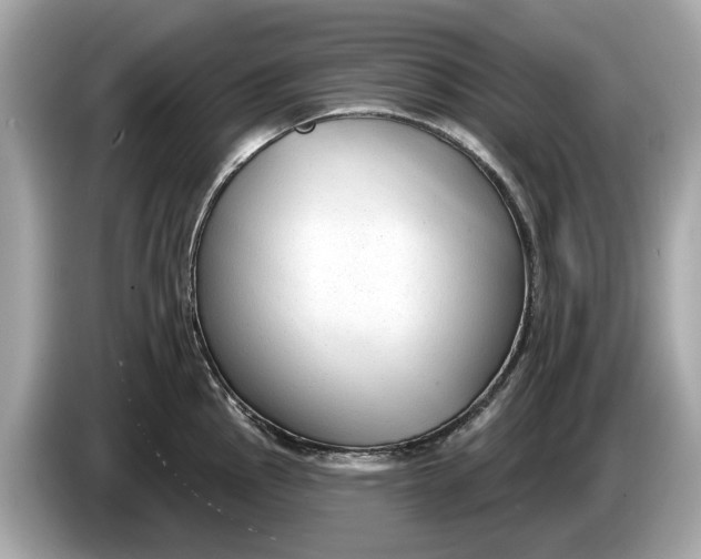 X0000085081145200703191318