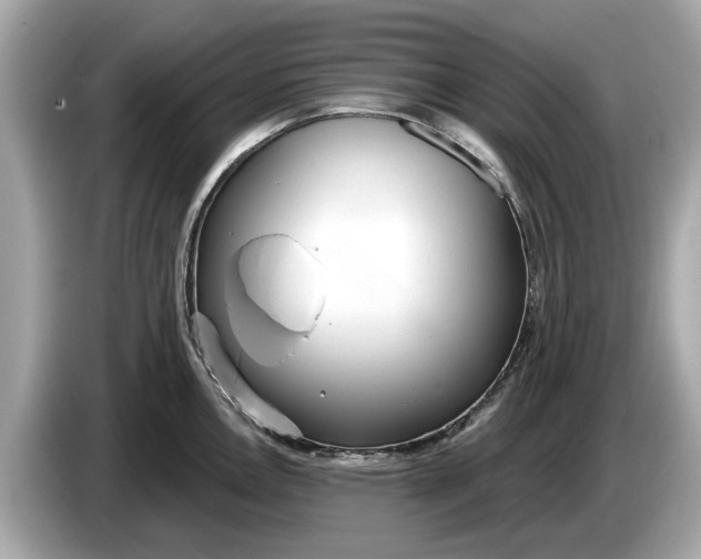 X0000085081146200703191318