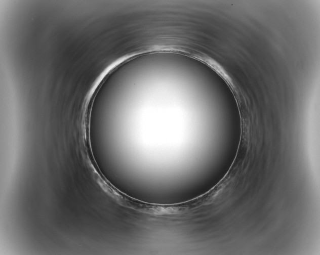 X0000085081148200703191318