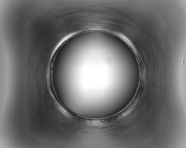 X0000085081149200703191318