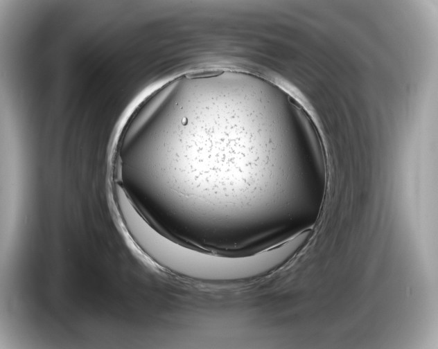 X0000085081152200703191318