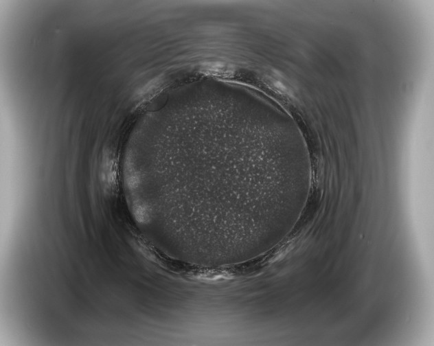 X0000085081154200703191317