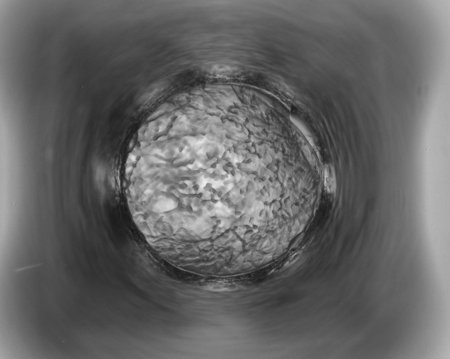 X0000085081155200703191317