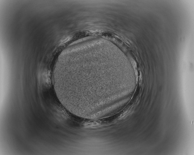 X0000085081156200703191317