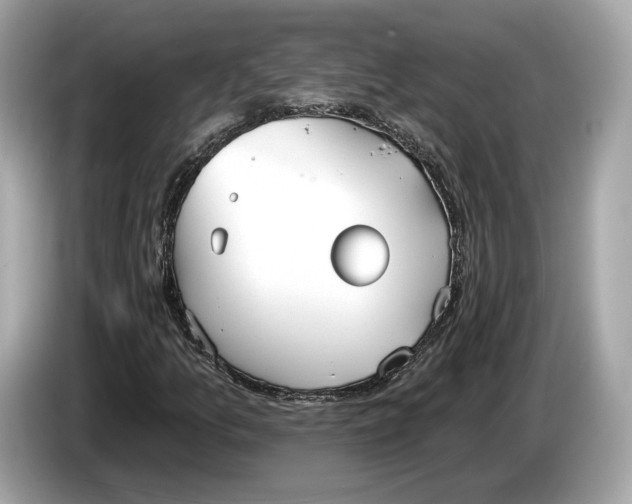 X0000085081157200703191317