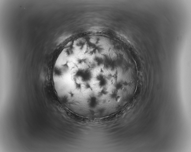 X0000085081158200703191317