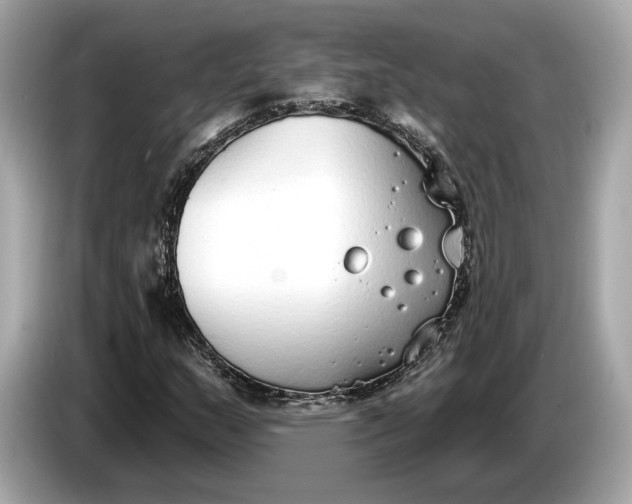 X0000085081159200703191317