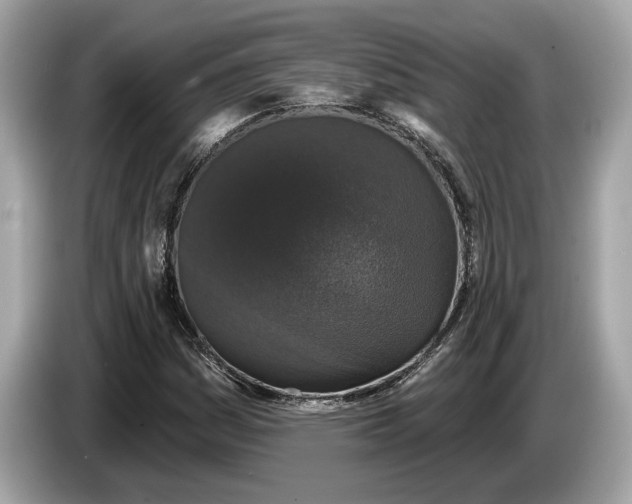 X0000085081161200703191317