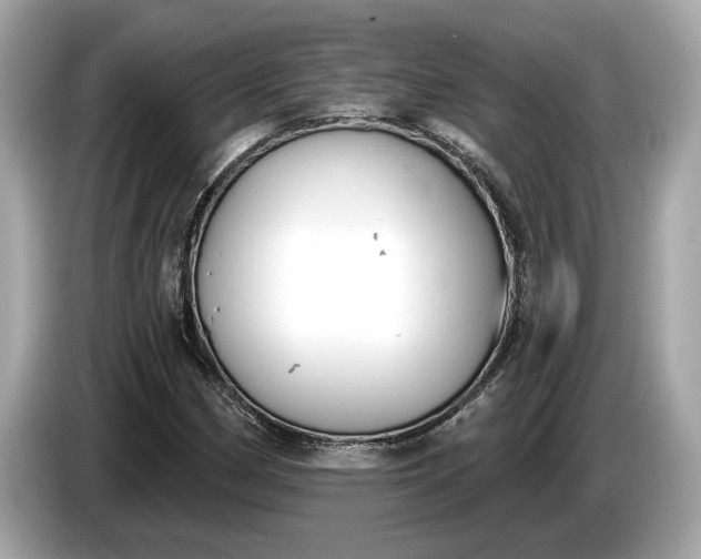 X0000085081162200703191317