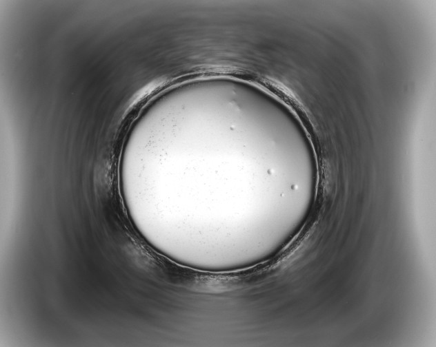 X0000085081163200703191317