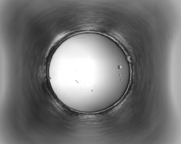 X0000085081164200703191317