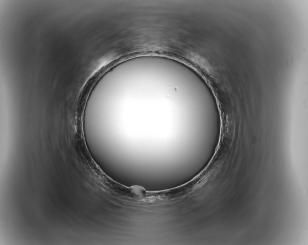 X0000085081165200703191317