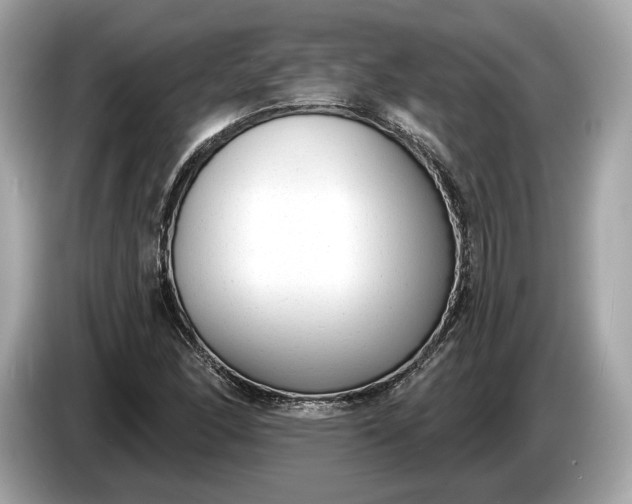 X0000085081166200703191317