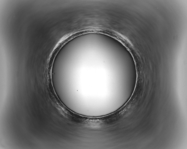 X0000085081168200703191317