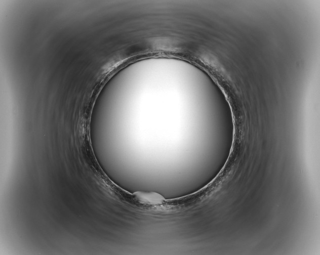 X0000085081169200703191317