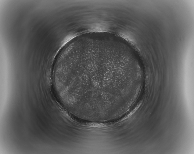 X0000085081170200703191317