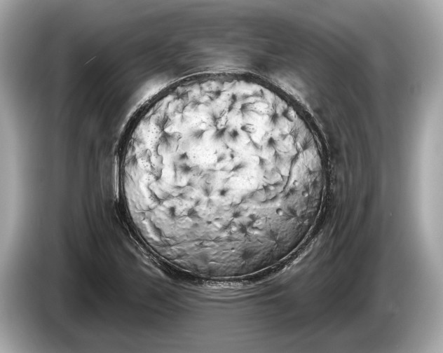 X0000085081171200703191317