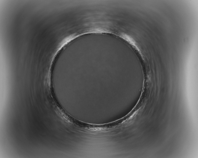 X0000085081173200703191317