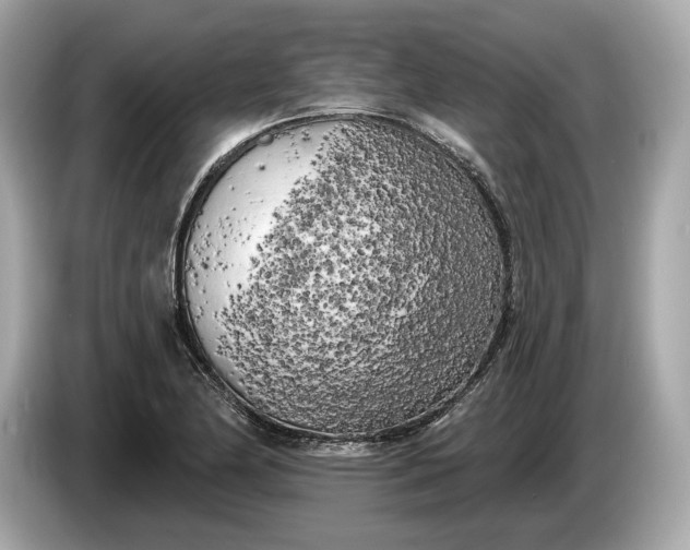 X0000085081174200703191317