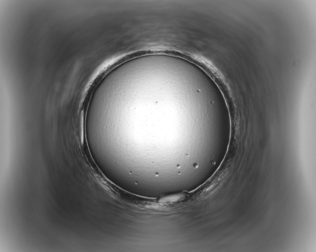 X0000085081175200703191317