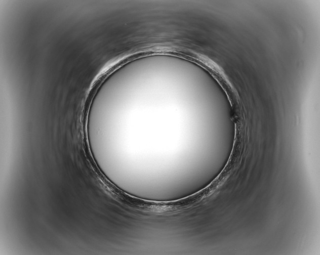 X0000085081176200703191317