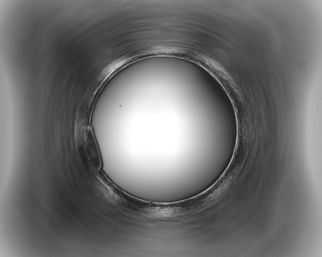 X0000085081177200703191317