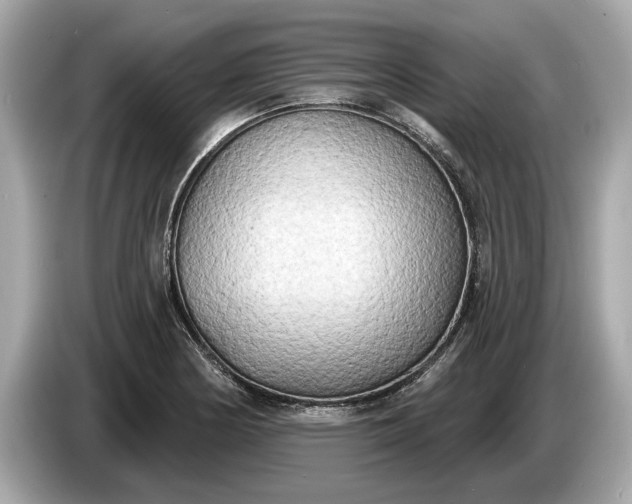 X0000085081178200703191317