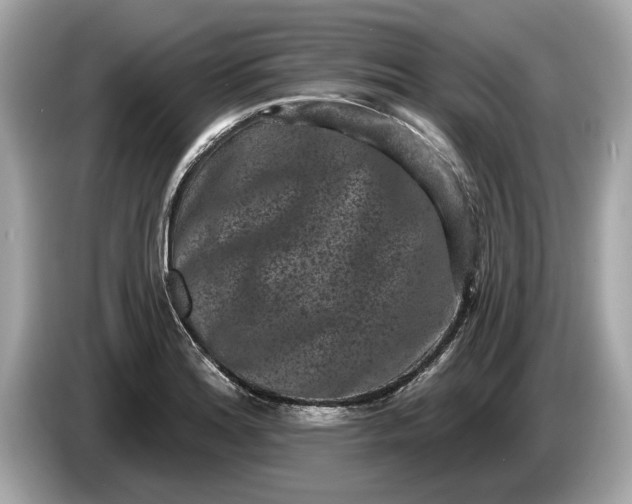 X0000085081180200703191317