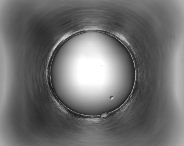 X0000085081181200703191317