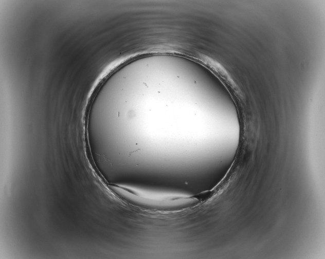 X0000085081184200703191317