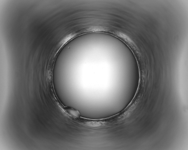 X0000085081185200703191317