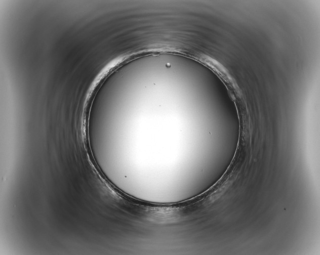 X0000085081188200703191317