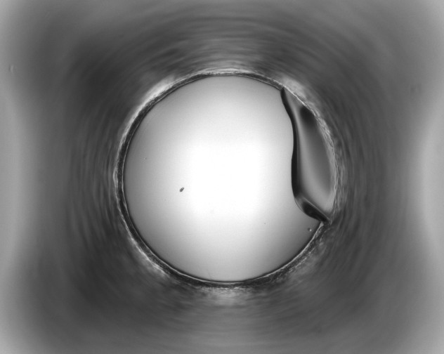 X0000085081189200703191317