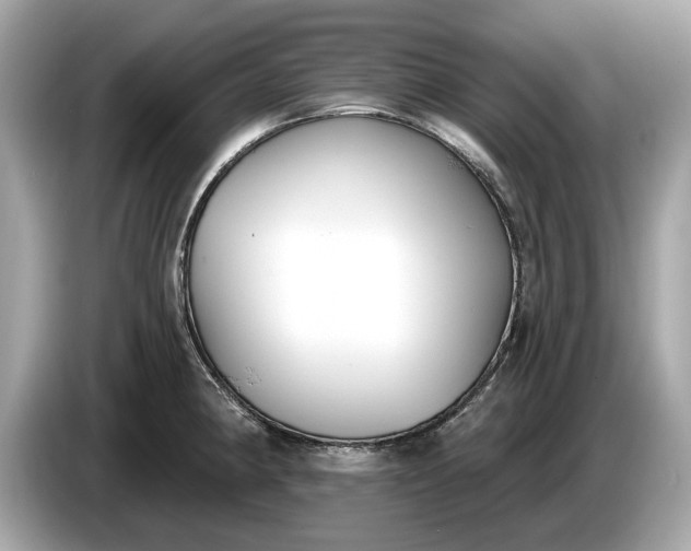 X0000085081190200703191317