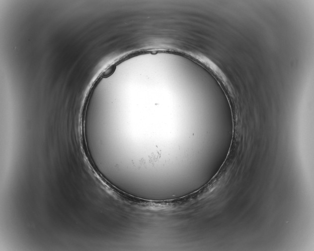 X0000085081191200703191317