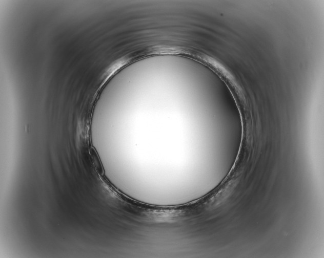 X0000085081193200703191317