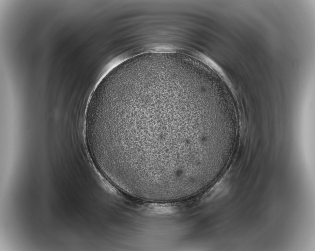 X0000085081194200703191317