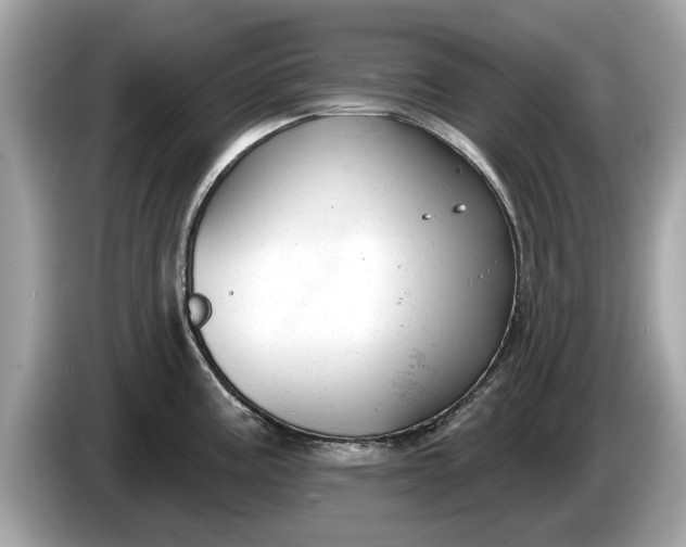 X0000085081195200703191317