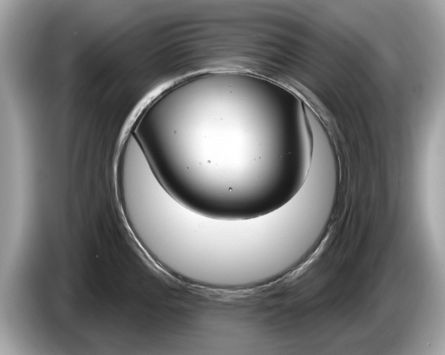 X0000085081196200703191317