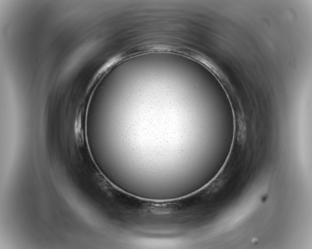 X0000085081198200703191317