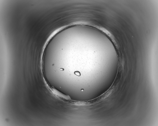 X0000085081199200703191317