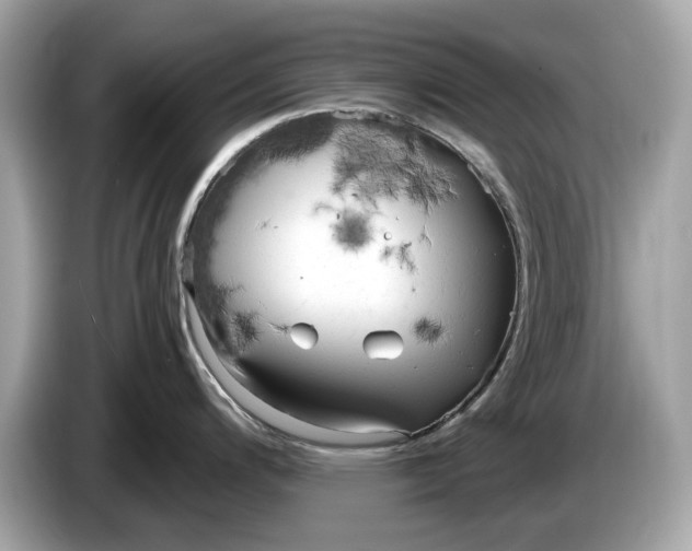 X0000085081200200703191317