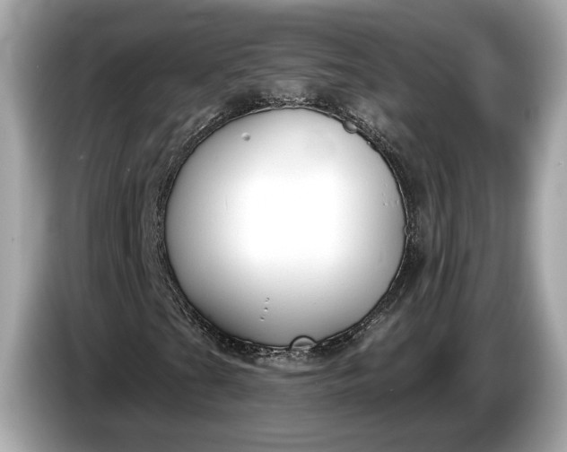 X0000085081201200703191316