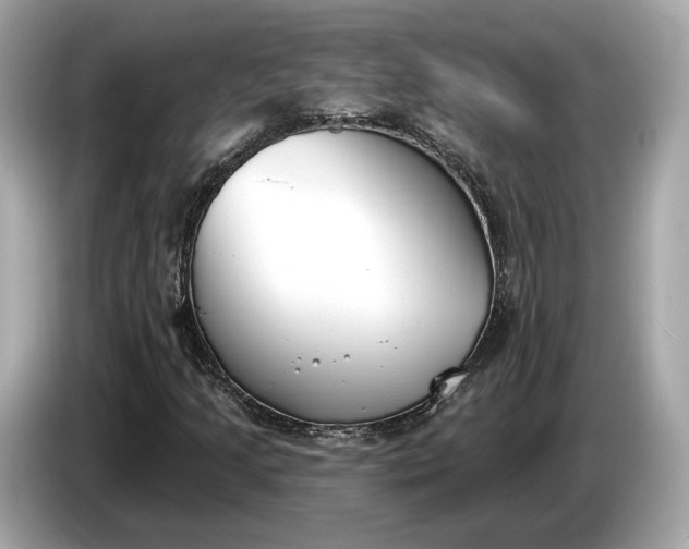 X0000085081205200703191316